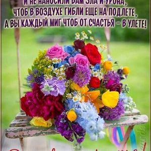 Meet your Posher, Madina